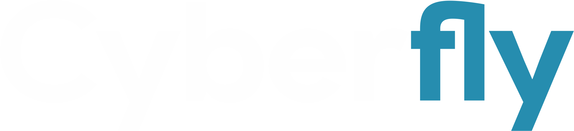 Cyberfly